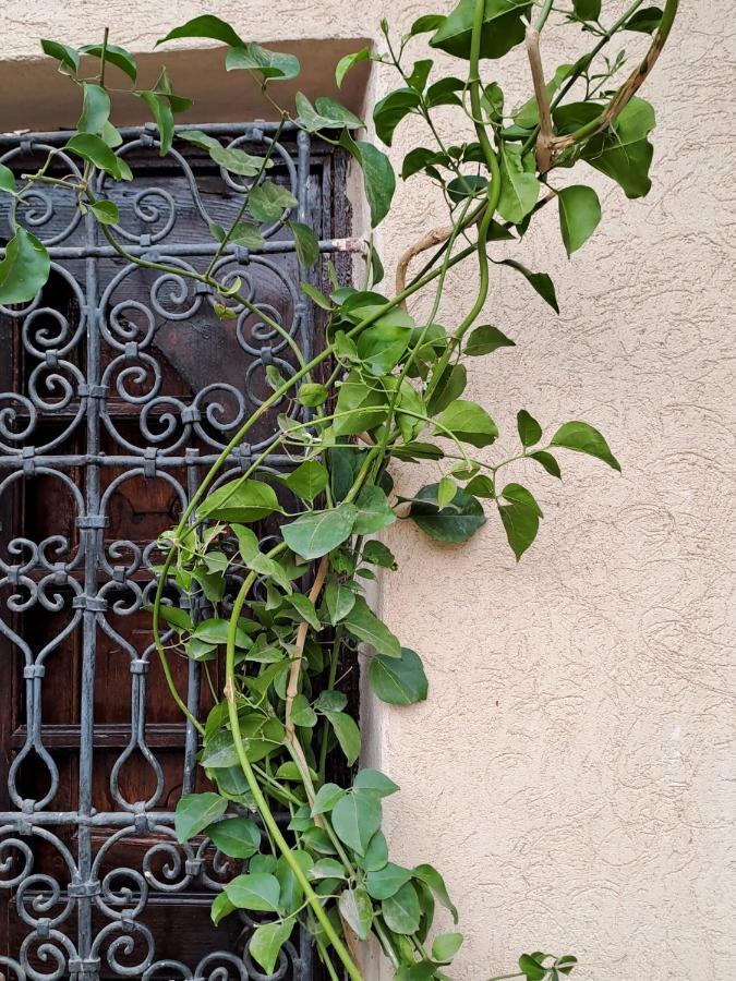 Riad Rime Garden Marrakech Lagouassem Exterior photo